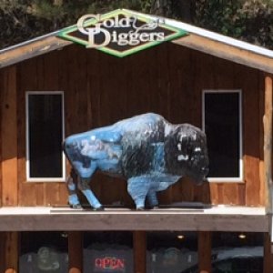 This buffalo on top of store in Keystone, SD