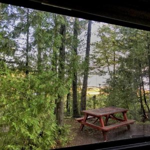 View toward Lake Huron at Castle Rock Camp Park, site 80