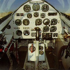 Rare Bears Cockpit