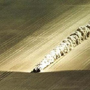 Thrust SSC car, 763 mph shock wave, 1997, Blackrock Dessert Nevada