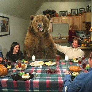 800lb Bear. Latest trend for conversion owners.