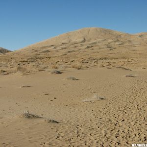 The trail up the dunes.