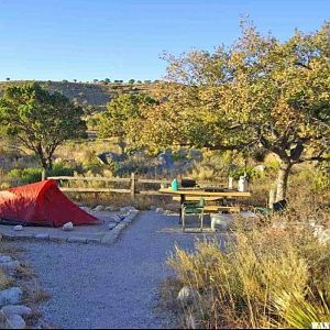 Tent Section of Pine Springs Campground