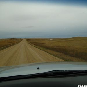 Rim Road near Sage Creek Basin Overlook