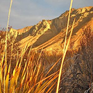 Hunter Peak (8365 ft) from start of Tejas Trail