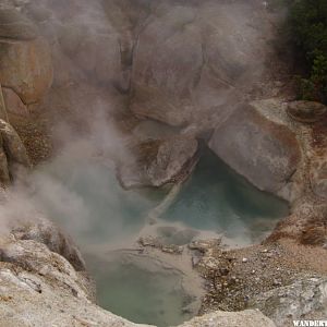 Norris Geyser Basin area