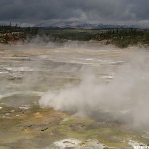 Norris Geyser Basin area