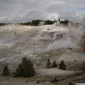 Norris Geyser Basin area