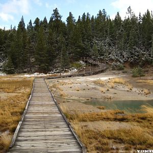 Norris Geyser Basin area