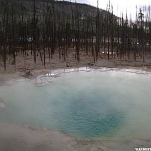 Norris Geyser Basin area