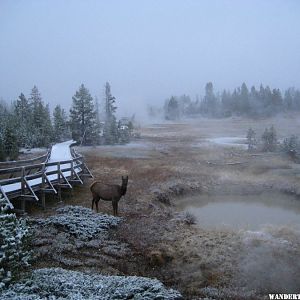 West Thumb Geyser Basin