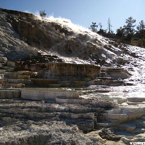 Mammoth Hot Springs