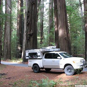 Humboldt Redwoods SP