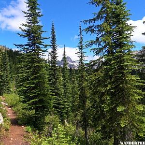 Trail to Gwillim Lakes (14).jpg