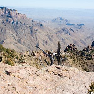 View Where the South Rim and East Rim Meet