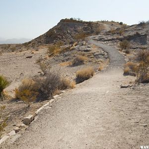 The Short Trail at the Fossil Bone Exhibit