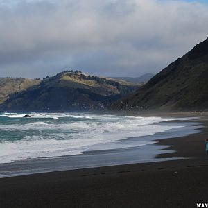 Mattole Beach, 2/6/11