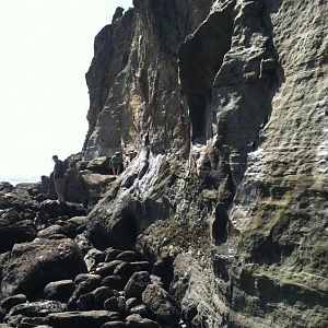 Tidepooling at Otter Rock