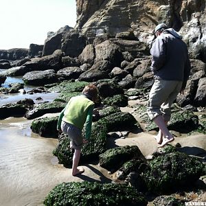 Tidepooling at Otter Rock