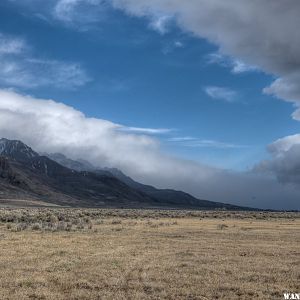 View NW Towards Steens Mt from west-edge of Alvord (camp spot)