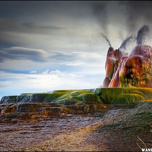 Fly Geyser 2010