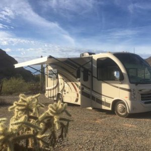 Dry Camping near Ajo, AZ