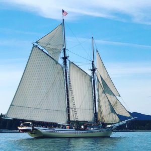 Beautiful Schooner passing by our lobster boat, and Bass Harbor.