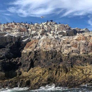 Beautiful scenery around Bass Harbor