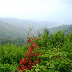 Great Smokies