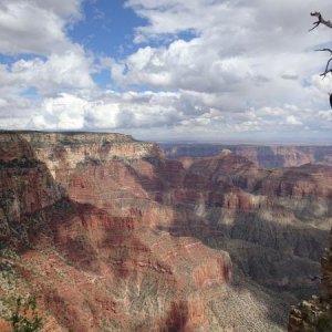 North Rim of Grand Canyon.