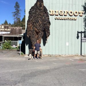 Big Foot Museum in Willow Creek, Ca...because...Why Not?