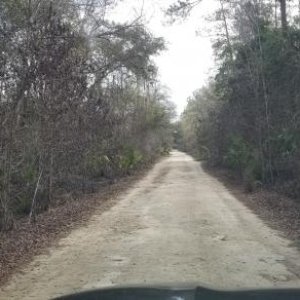 Lost in the Florida Everglades