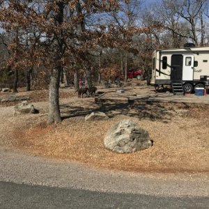 campsite 56 loop c