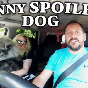 Our first trip started with a Very Very spoiled dog which didn't want to leave Niki's lap.  It's pretty funny!

https://youtu.be/TfwdX_whGlo