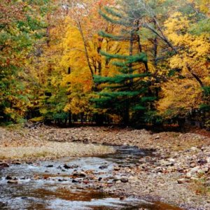 Virginia Douthat State Park....drought year!