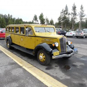 The open top antique Yellow buses are a fantastic way, especially if you are normally the driver, to be able to take in Yellowstone Park.  Old restore