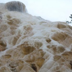 Mammoth Springs is beautiful, however very changed from my memories as a kid.  It's changing and drying up.  Go see it now before it's gone.