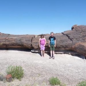 Kids in front of petrified tree inside Petrified Forest National Park - Holbrook, AZ