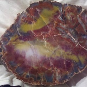 This is a cross section of "Rainbow Petrified Wood".  Beautiful stuff.  You can not of course remove any rocks from the NP, but there are shops in Hol