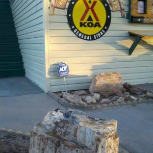 Petrified samples are abundant through Holbrook and used for curbing and rock gardens as seen here out side the signature A-frame CG store of the KOA.