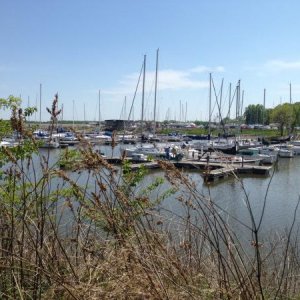 Dam West Marina - Carlyle Lake