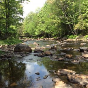 Looking Downstream on The Little Black Creek