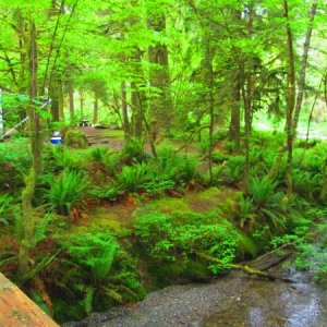 creek behind campsite 5-27-15