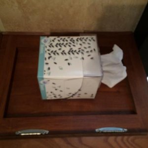 Camco tissue box holder mounted above the dinette.  We always had a box of tissue floating around, and while the $15 we paid for this baby was outrage