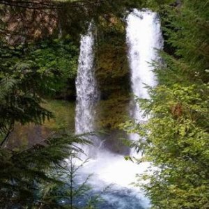 Saline Falls on McKenzie River, or