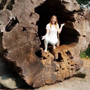 Avenue of the Giants in Northern California
  Inspiring, peaceful, magnificent hiking