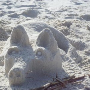 Mary's German Shepherd sand sculpture 3/2015
AL Gulf Coast