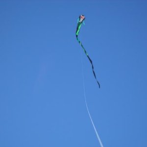 Great beach day...30' kite on the end of 100' of string. 
1 of 6 kites that I flew this particular day.  Carrabelle Beach, FL Oct. 2015