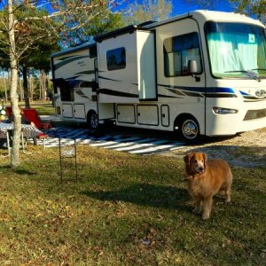 St. Augustine Stagecoach RV Park Feb 2015