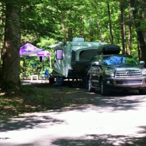 Quiet campsite  shaded by the rain forest like canopy of trees.